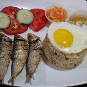 Tuyosilog
